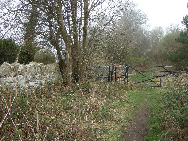 1203240029 The Way of St. Andrews Pilgrimage