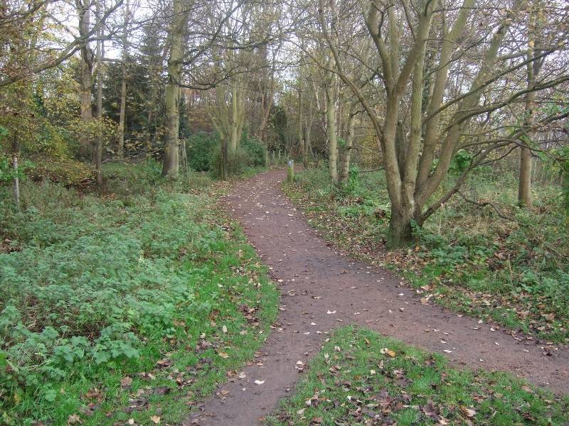 2011_11200013 The Way of St. Andrews Pilgrimage