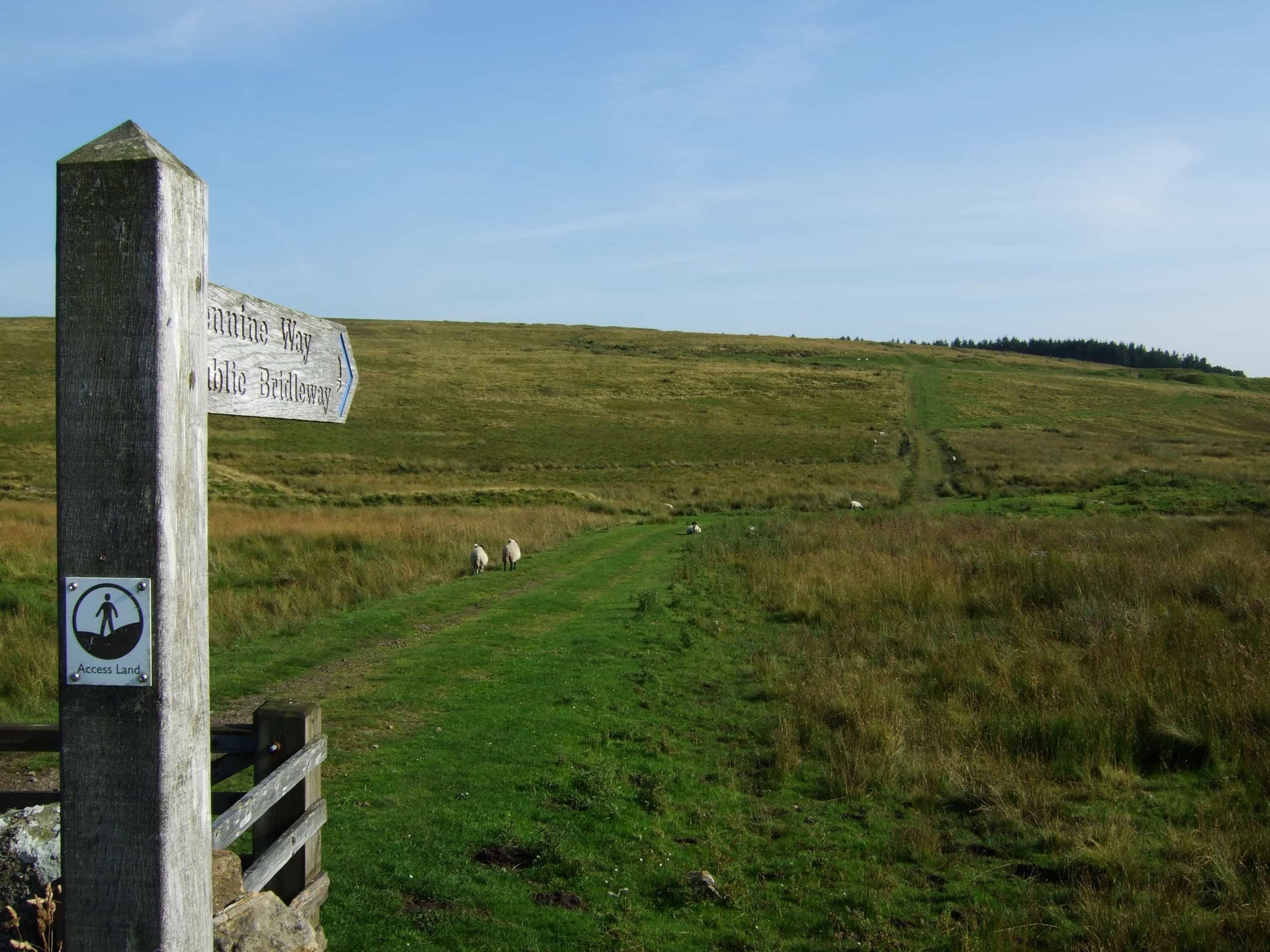 DSCF4487 The Way of St. Andrews Pilgrimage